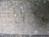 image of grave number 366009